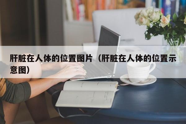 肝脏在人体的位置图片（肝脏在人体的位置示意图）