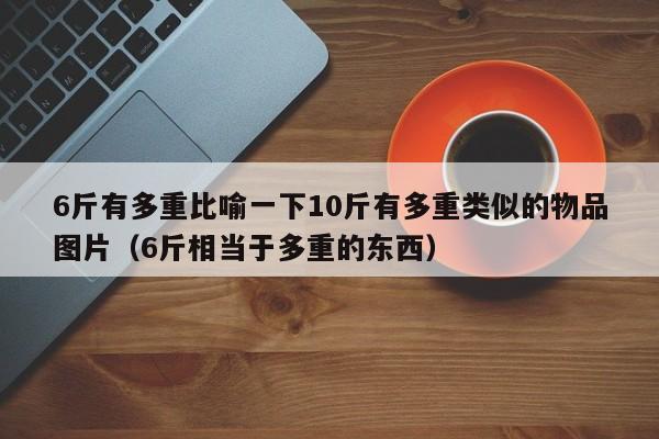 6斤有多重比喻一下10斤有多重类似的物品图片(6斤相当于多重的东西)