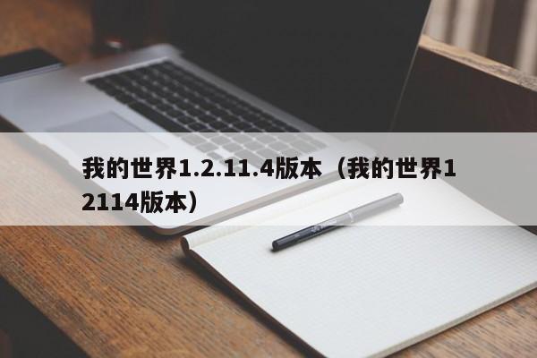我的世界1.2.11.4版本（我的世界12114版本）