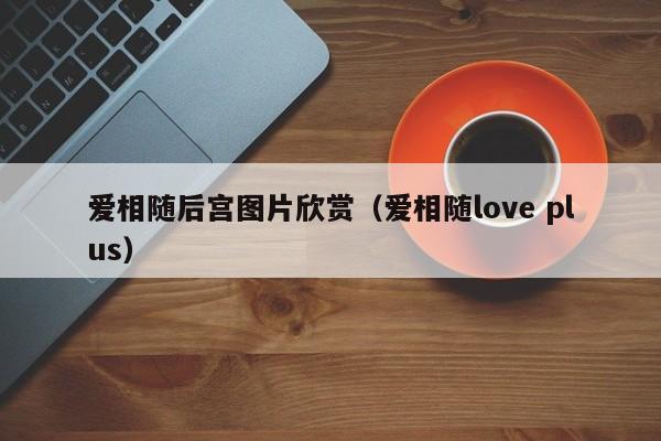 爱相随后宫图片欣赏（爱相随love plus）