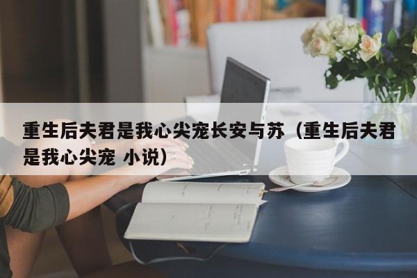 重生后夫君是我心尖宠长安与苏（重生后夫君是我心尖宠 小说）