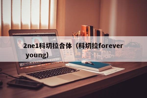 2ne1科切拉合体（科切拉forever young）