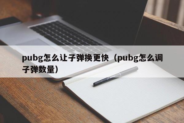 pubg怎么让子弹换更快(pubg怎么调子弹数量)
