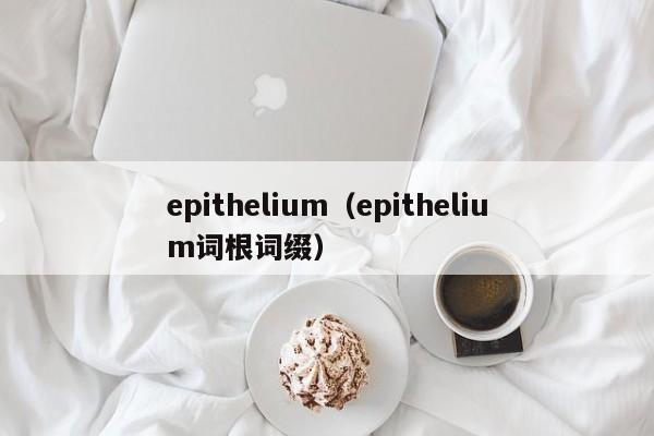 epithelium（epithelium词根词缀）