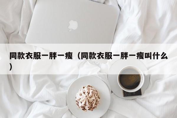 同款衣服一胖一瘦（同款衣服一胖一瘦叫什么）