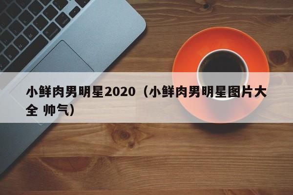 小鲜肉男明星2020（小鲜肉男明星图片大全 帅气）
