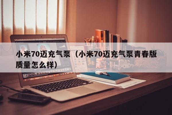 小米70迈充气泵（小米70迈充气泵青春版质量怎么样）