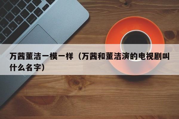 万茜董洁一模一样（万茜和董洁演的电视剧叫什么名字）