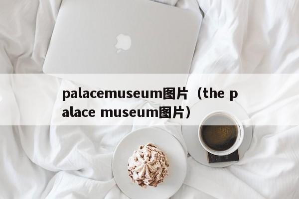 palacemuseum图片（the palace museum图片）
