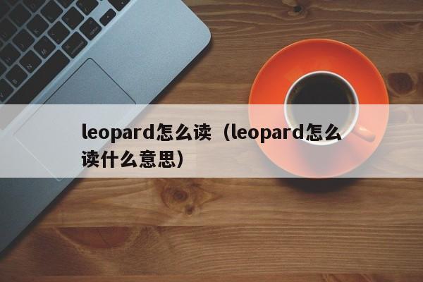 leopard怎么读（leopard怎么读什么意思）