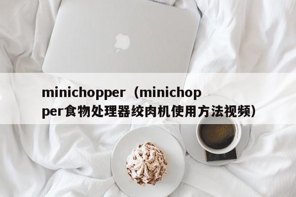 minichopper(minichopper食物处理器绞肉机使用方法视频)