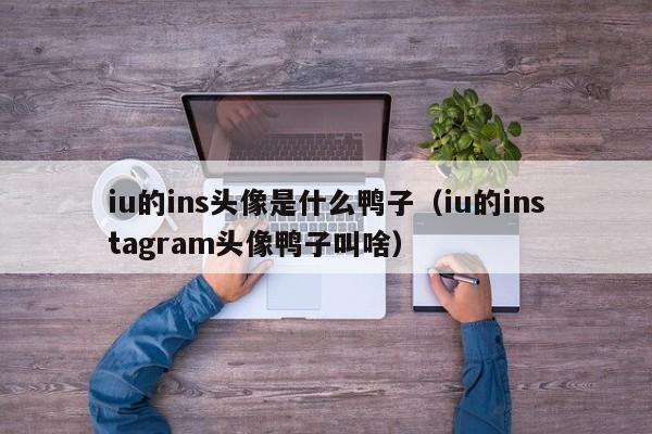 iu的ins头像是什么鸭子（iu的instagram头像鸭子叫啥）