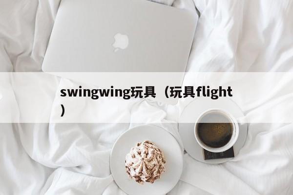 swingwing玩具（玩具flight）