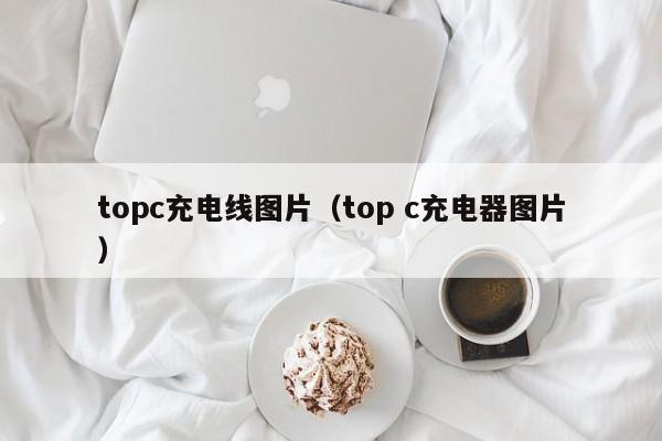 topc充电线图片(top c充电器图片)