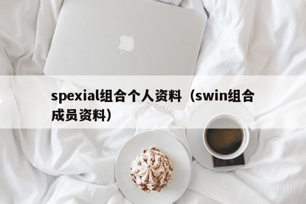 spexial组合个人资料（swin组合成员资料）