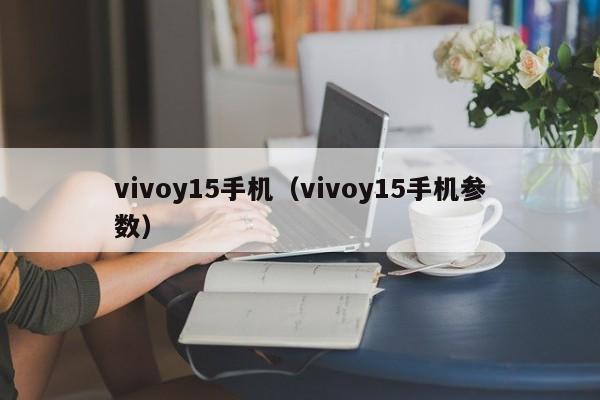 vivoy15手机（vivoy15手机参数）