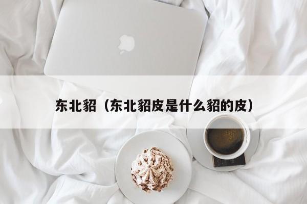 东北貂（东北貂皮是什么貂的皮）