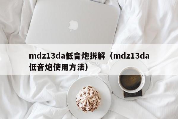 mdz13da低音炮拆解(mdz13da低音炮使用方法)