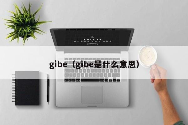 gibe（gibe是什么意思）