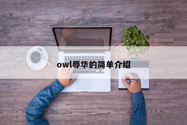 owl辱华的简单介绍