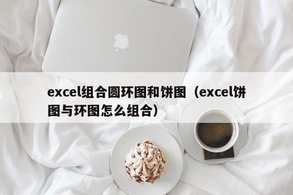 excel组合圆环图和饼图(excel饼图与环图怎么组合)