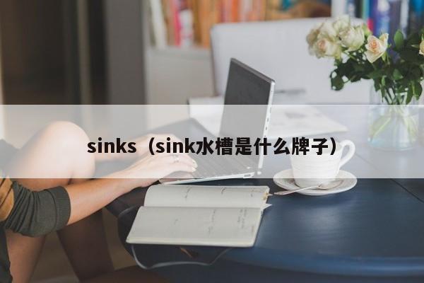 sinks(sink水槽是什么牌子)