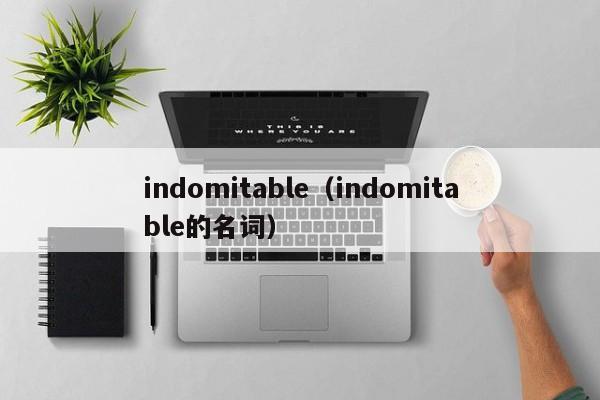 indomitable(indomitable的名词)