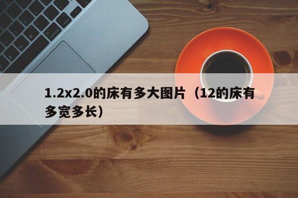 1.2x2.0的床有多大图片(12的床有多宽多长)