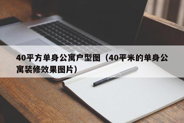 40平方单身公寓户型图(40平米的单身公寓装修效果图片)