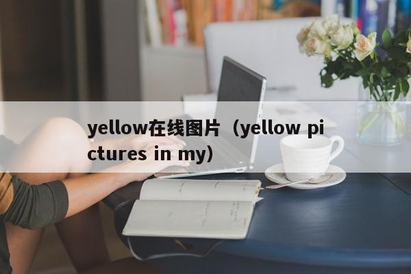yellow在线图片（yellow pictures in my）