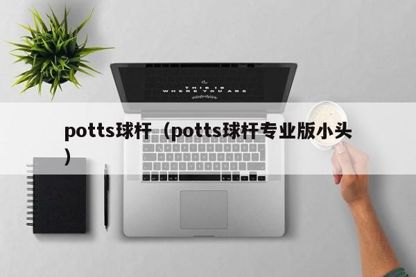 potts球杆（potts球杆专业版小头）