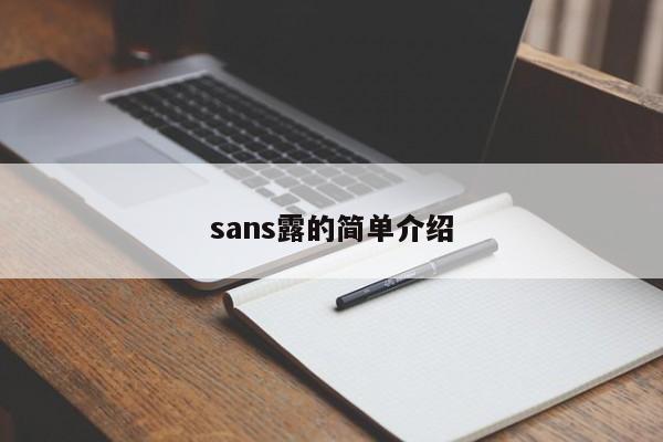 sans露的简单介绍