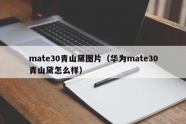 mate30青山黛图片（华为mate30青山黛怎么样）