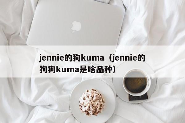 jennie的狗kuma(jennie的狗狗kuma是啥品种)