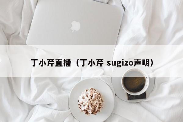 丁小芹直播(丁小芹 sugizo声明)