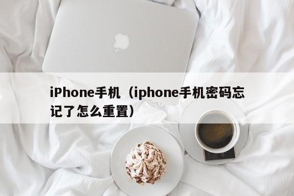 iPhone手机（iphone手机密码忘记了怎么重置）
