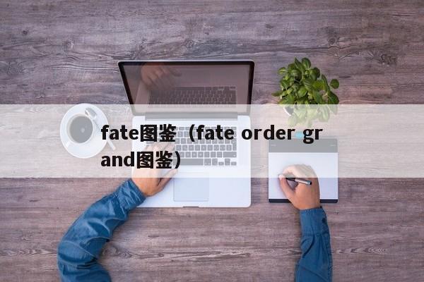fate图鉴（fate order grand图鉴）