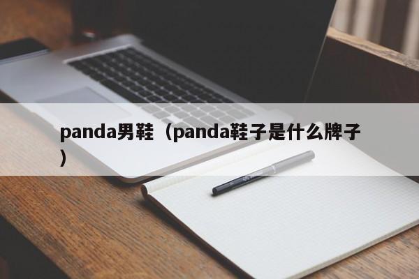 panda男鞋（panda鞋子是什么牌子）