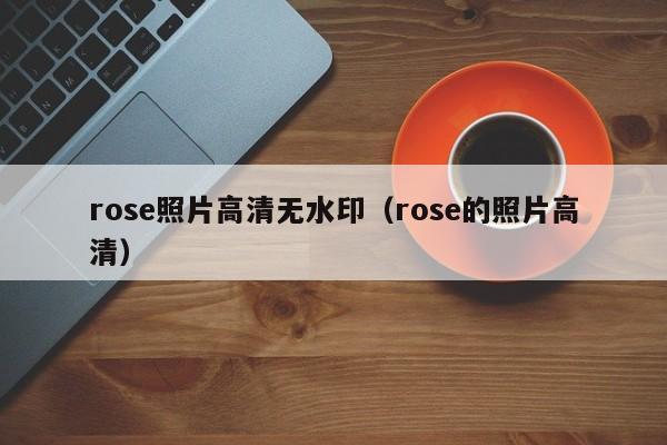rose照片高清无水印(rose的照片高清)