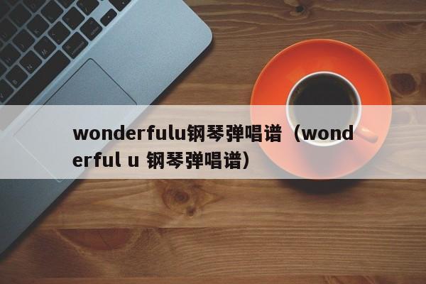 wonderfulu钢琴弹唱谱(wonderful u 钢琴弹唱谱)
