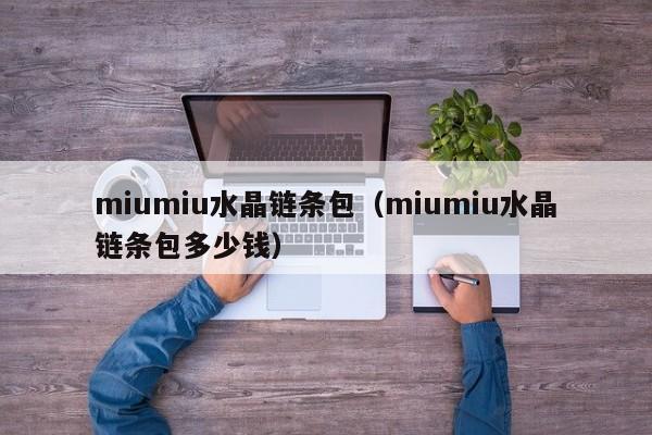 miumiu水晶链条包(miumiu水晶链条包多少钱)