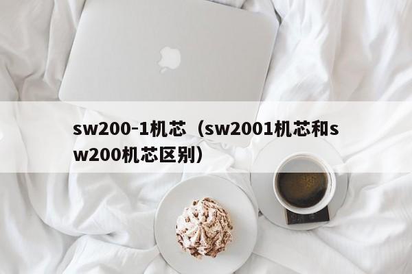 sw200-1机芯(sw2001机芯和sw200机芯区别)