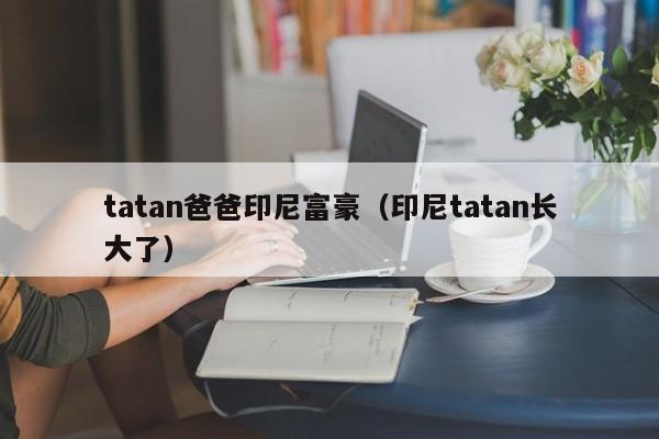tatan爸爸印尼富豪(印尼tatan长大了)