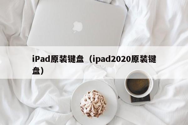 iPad原装键盘（ipad2020原装键盘）
