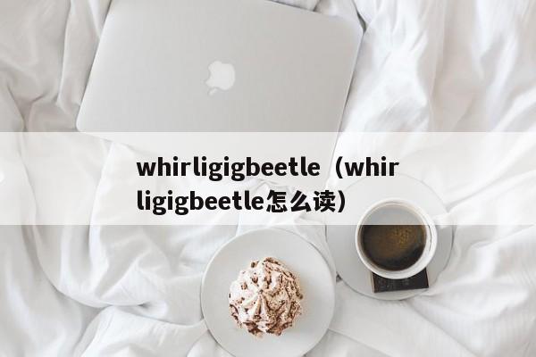 whirligigbeetle（whirligigbeetle怎么读）