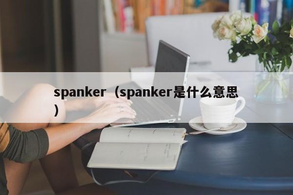 spanker（spanker是什么意思）