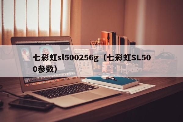 七彩虹sl500256g（七彩虹SL500参数）