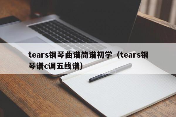 tears钢琴曲谱简谱初学(tears钢琴谱c调五线谱)