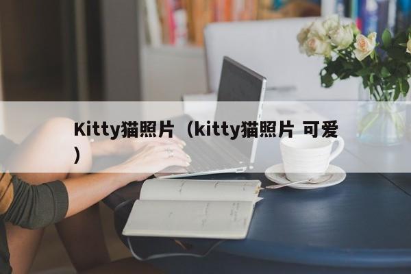 Kitty猫照片（kitty猫照片 可爱）