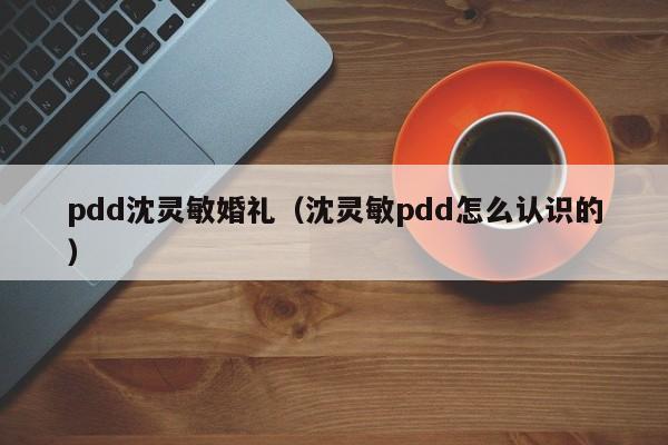 pdd沈灵敏婚礼（沈灵敏pdd怎么认识的）